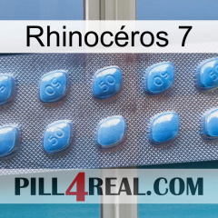Rhinocéros 7 viagra3